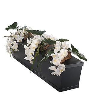 White Orchid Casket Bar Trio.