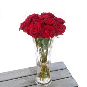 12 Red Rose Vase